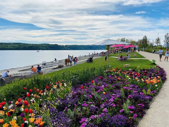 Blumenbeete am Bodensee auf der Gartenschau Überlingen